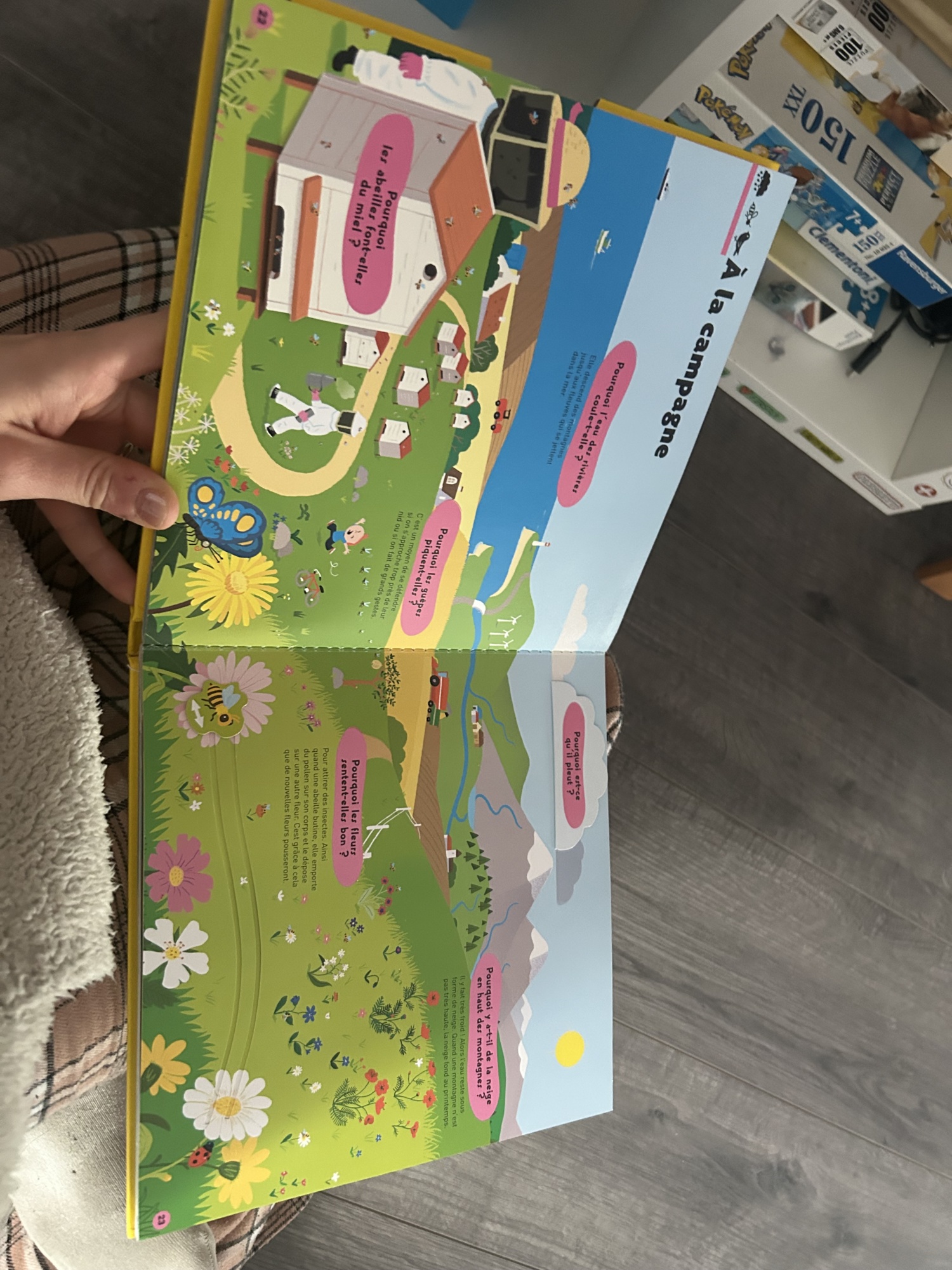 Pré-visualisation