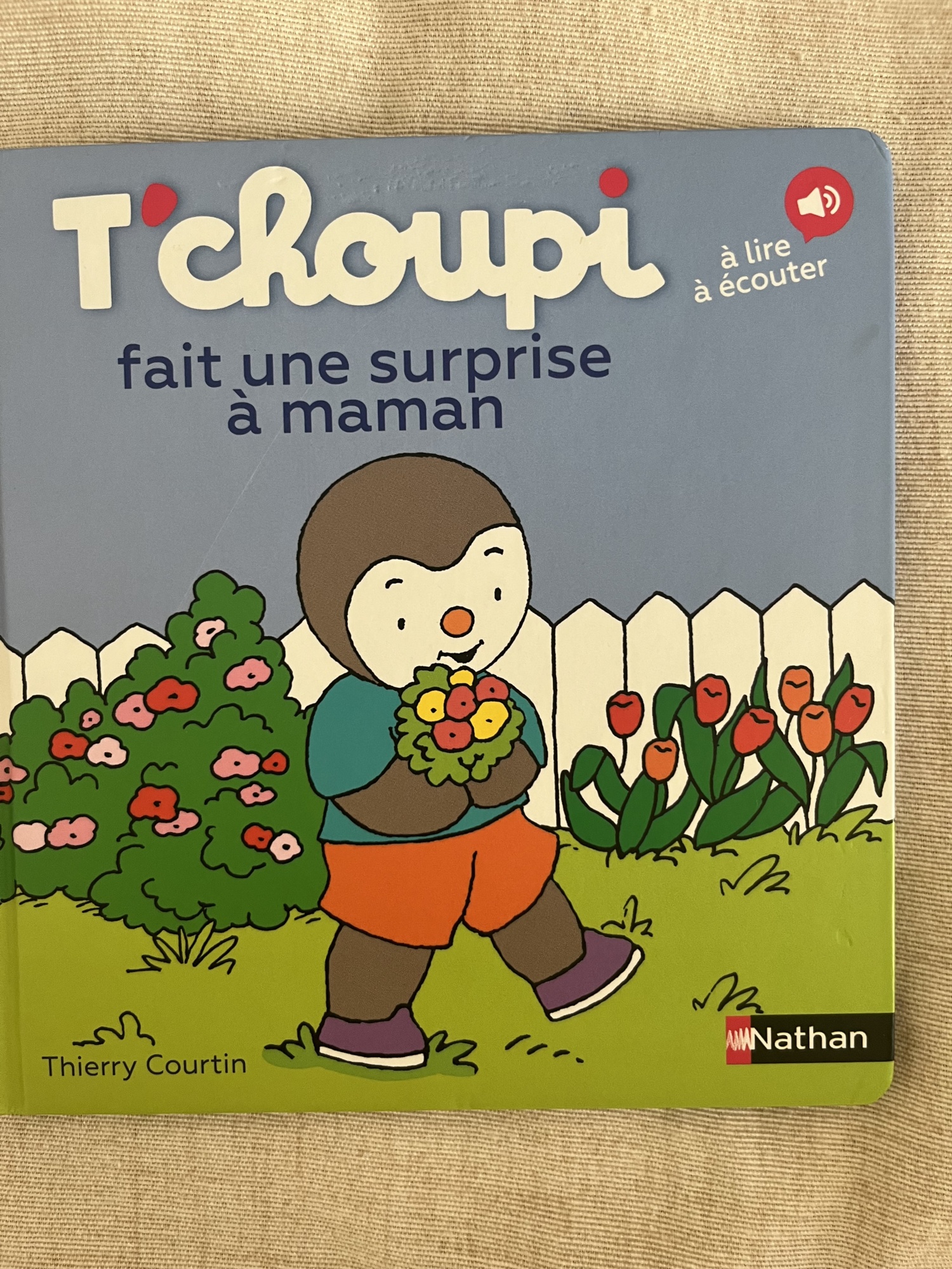Pré-visualisation