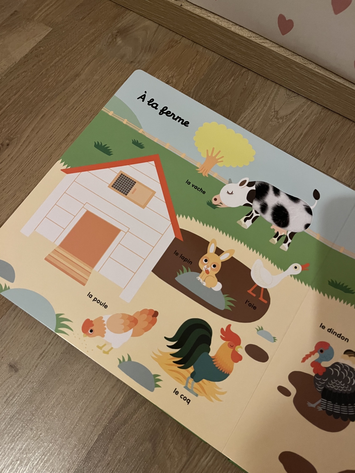 Pré-visualisation