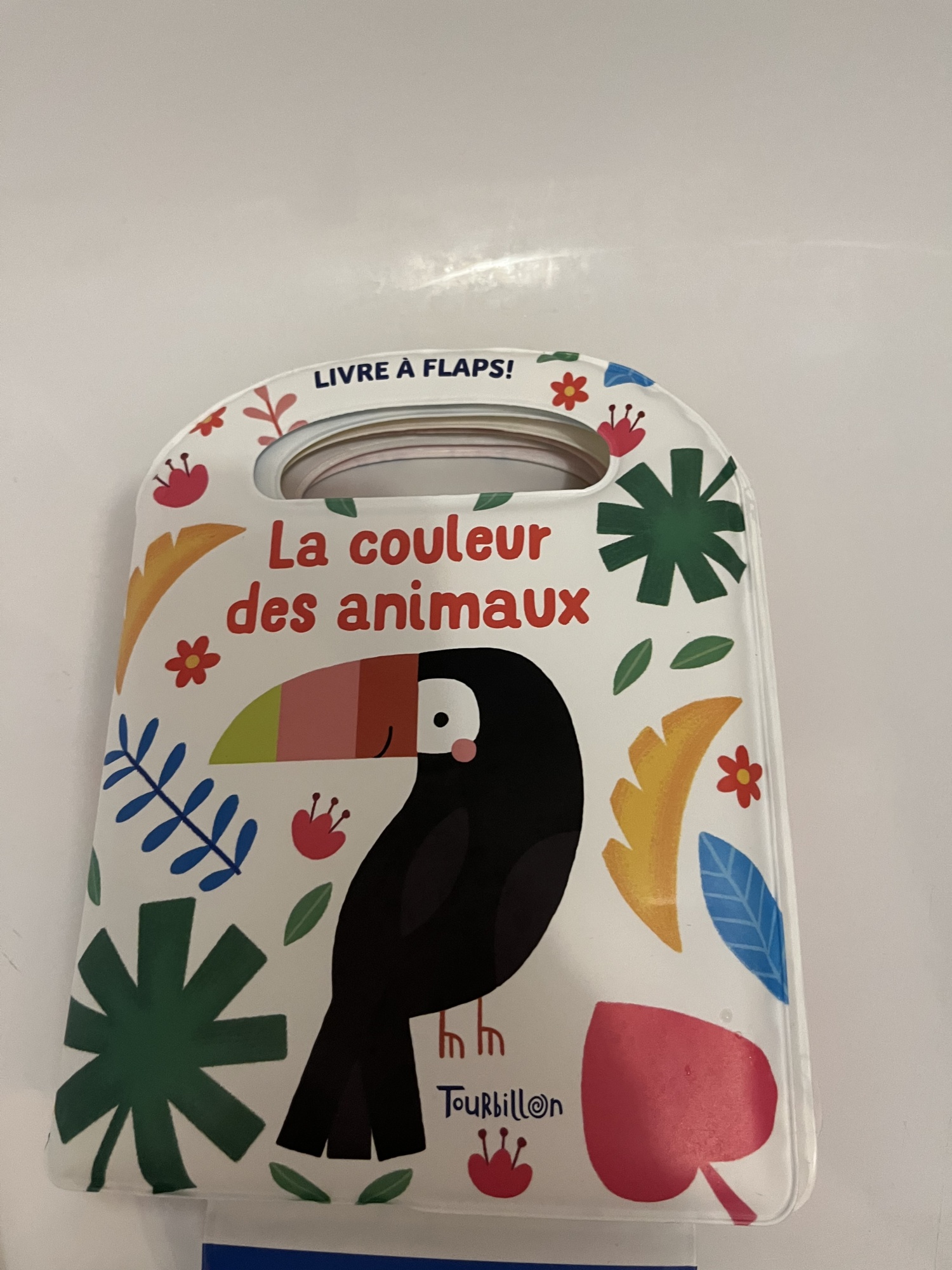 Pré-visualisation