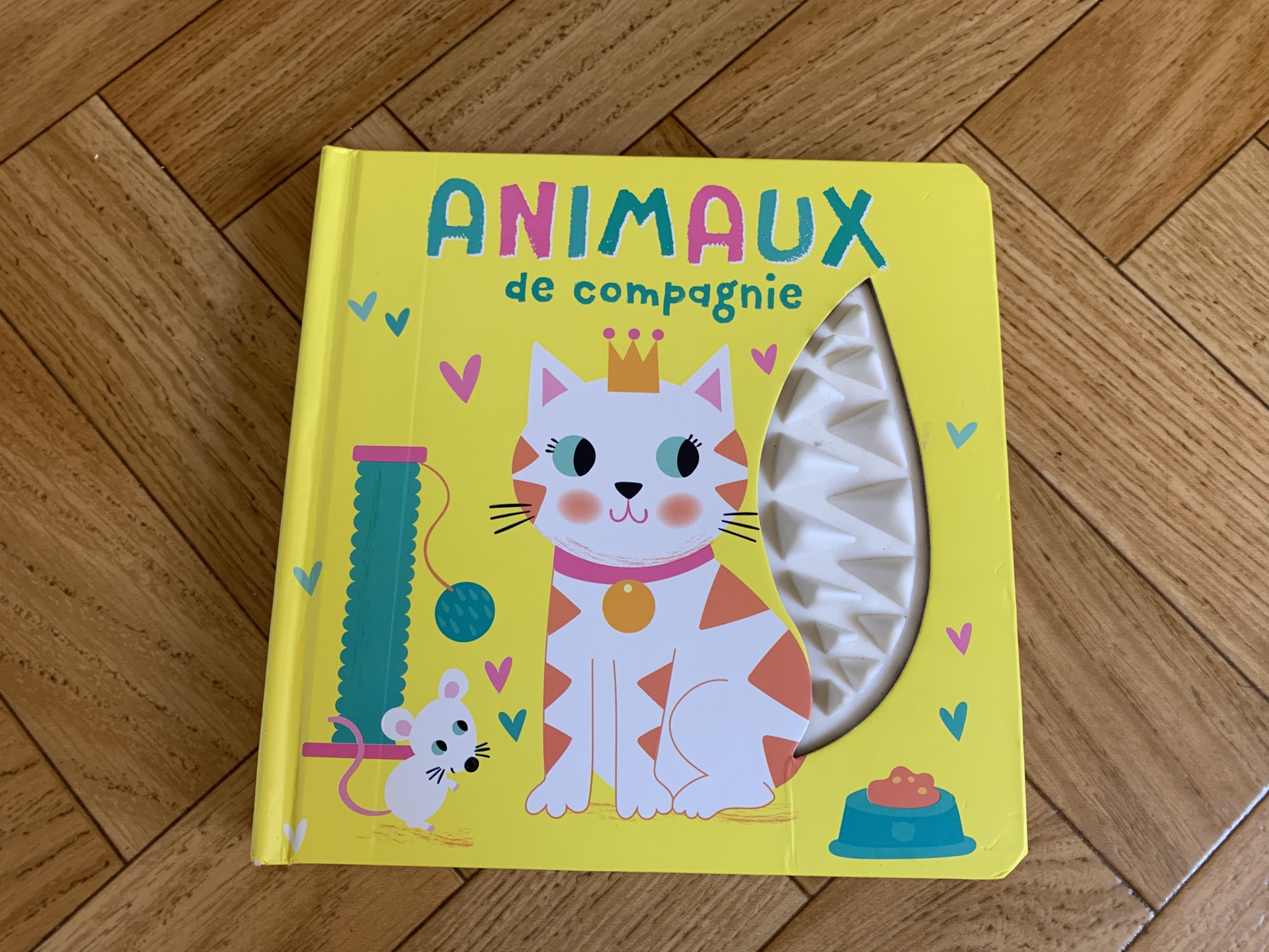 Pré-visualisation