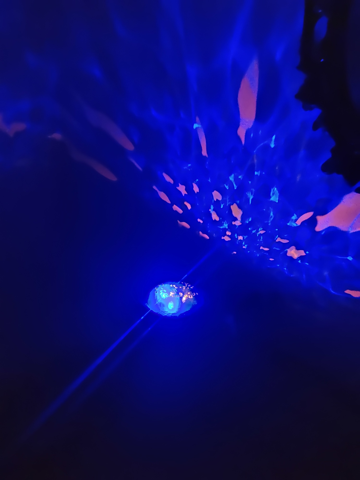 Pré-visualisation