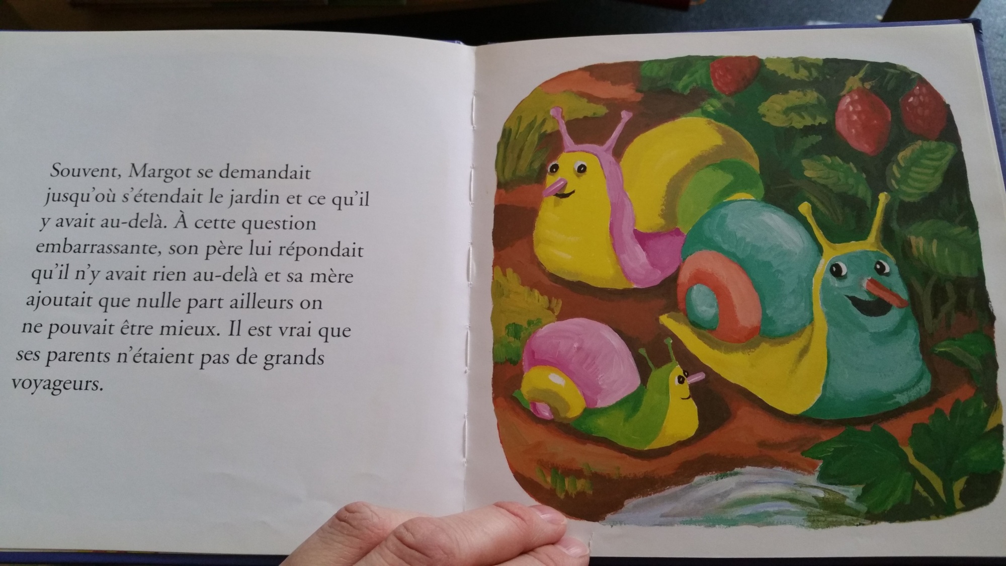 Pré-visualisation