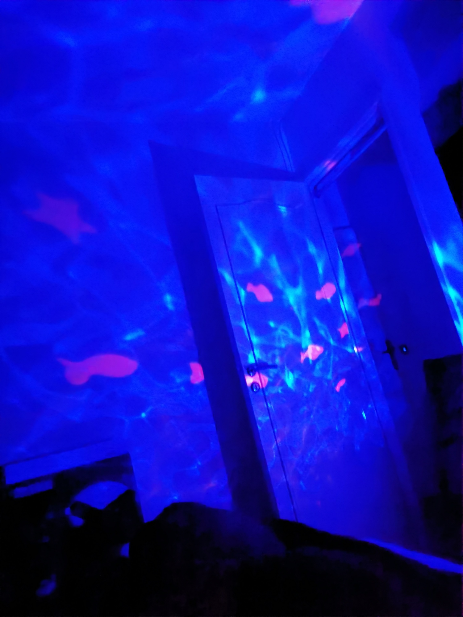 Pré-visualisation