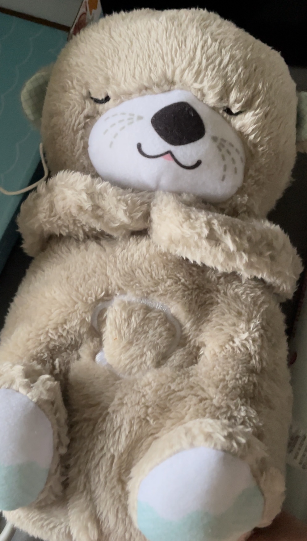 Veilleuse Ma Loutre Câlins Bonne Nuit FISHER PRICE Comparateur, Avis, Prix