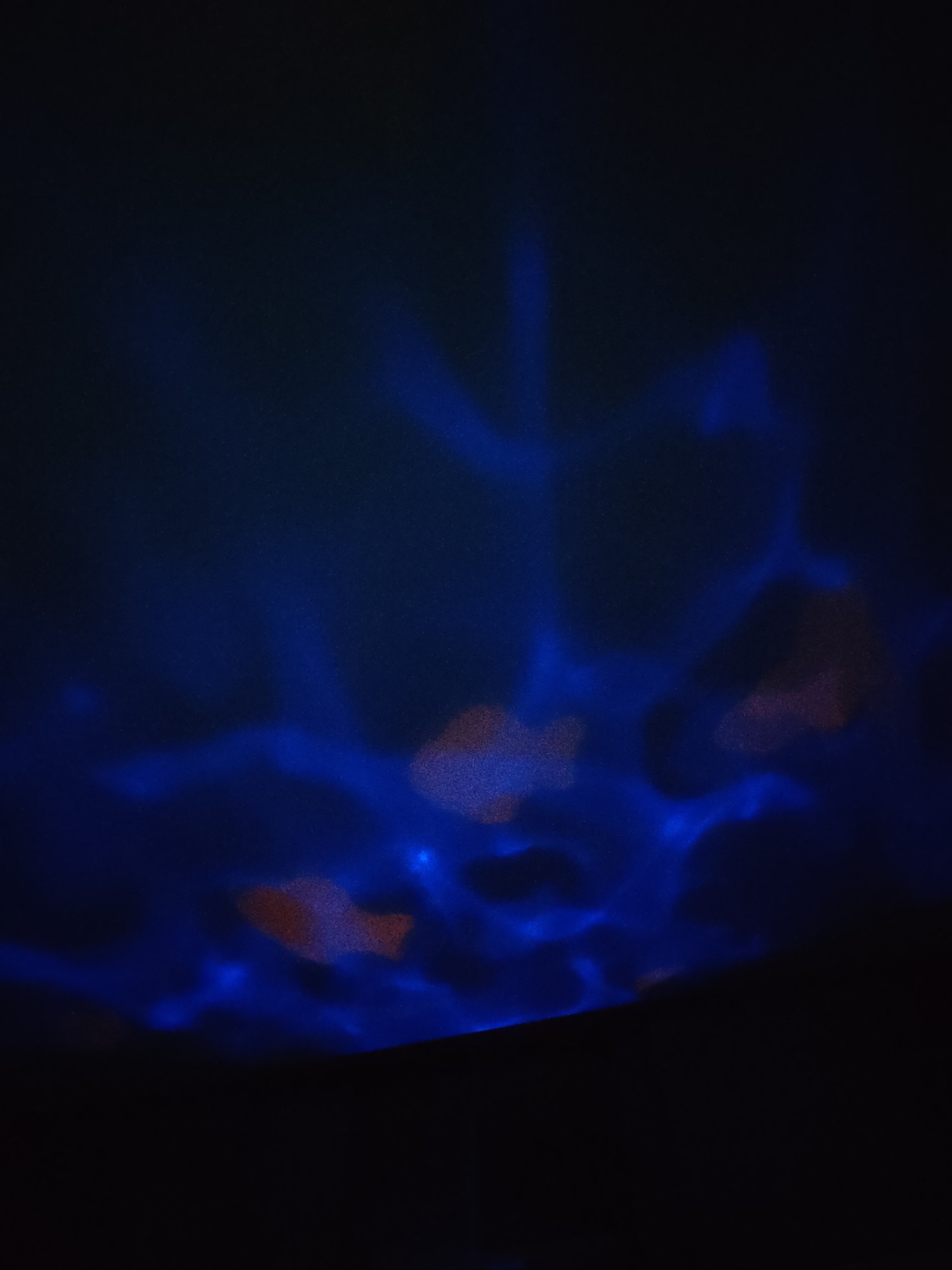Pré-visualisation