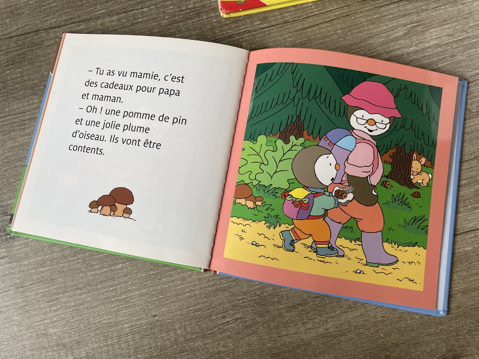 Pré-visualisation