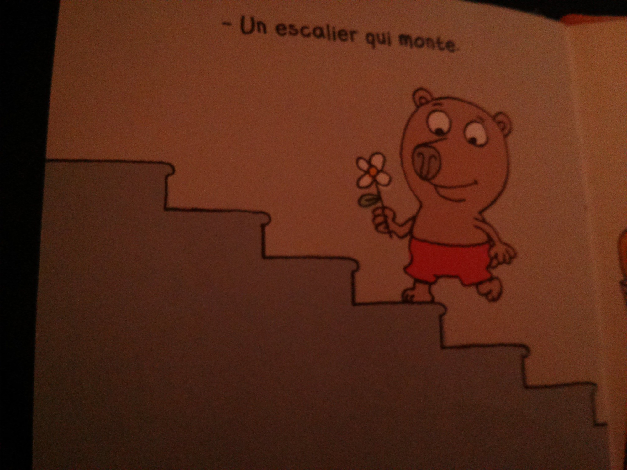 Pré-visualisation