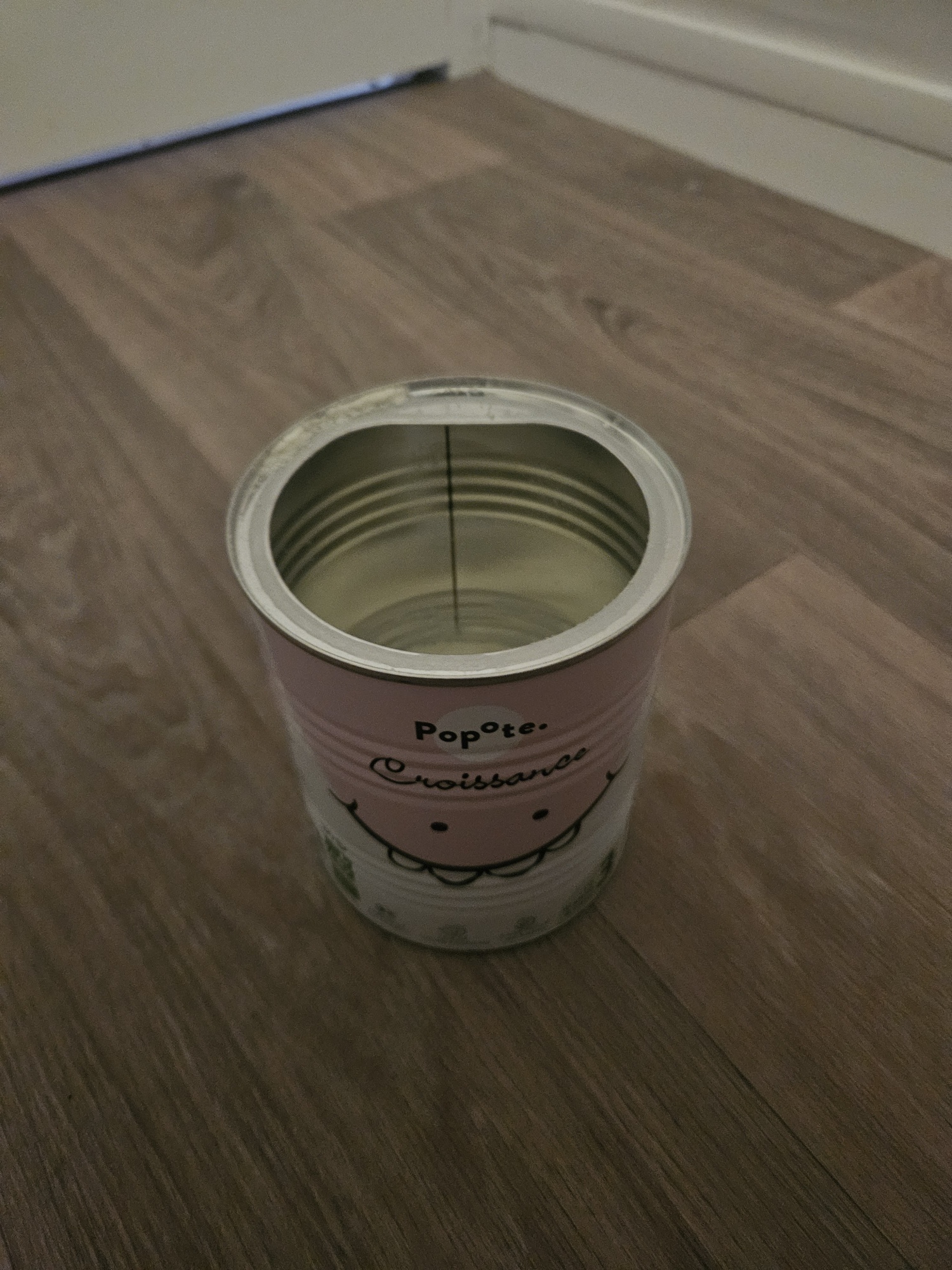Pré-visualisation