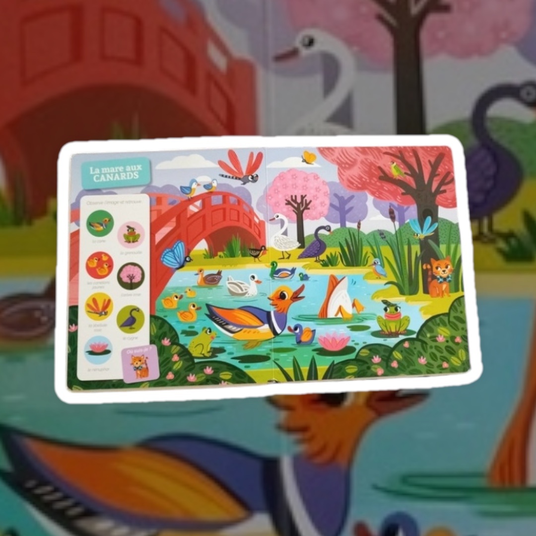 Pré-visualisation