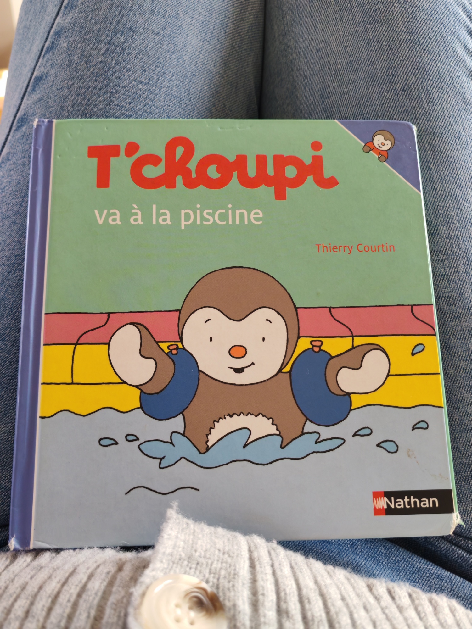 Pré-visualisation