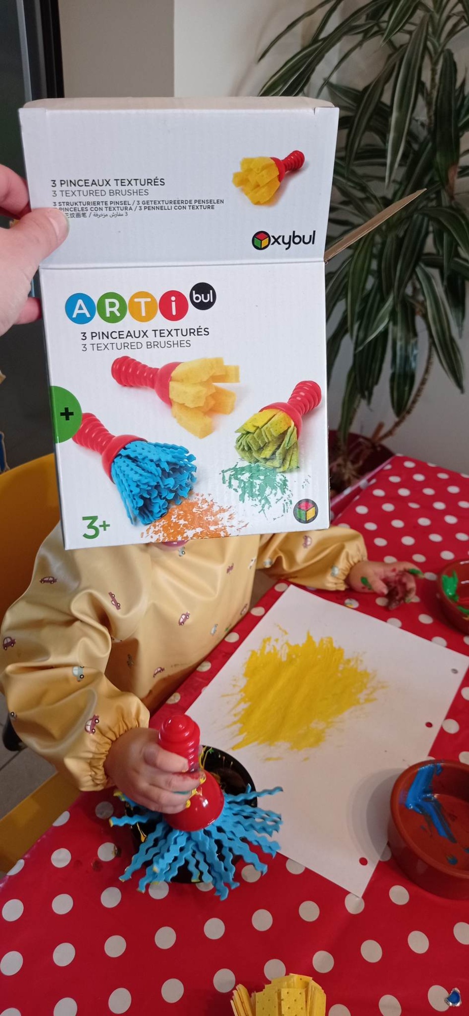 Pré-visualisation