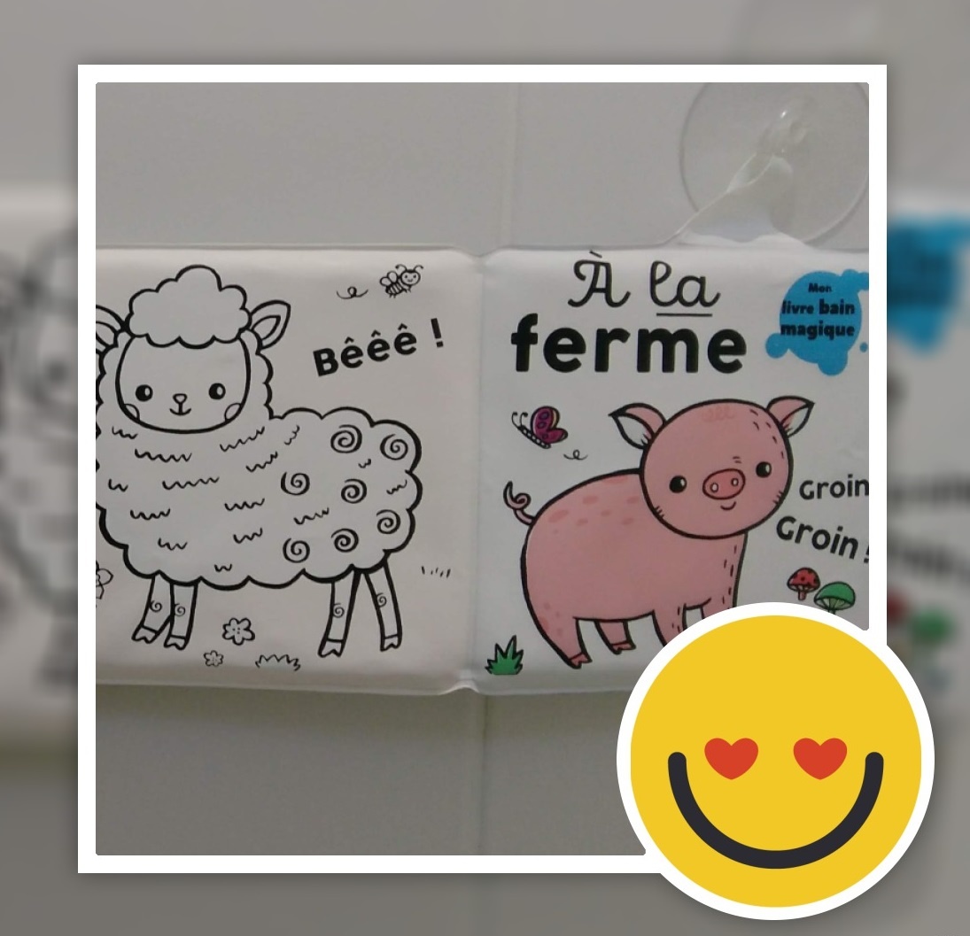 Pré-visualisation