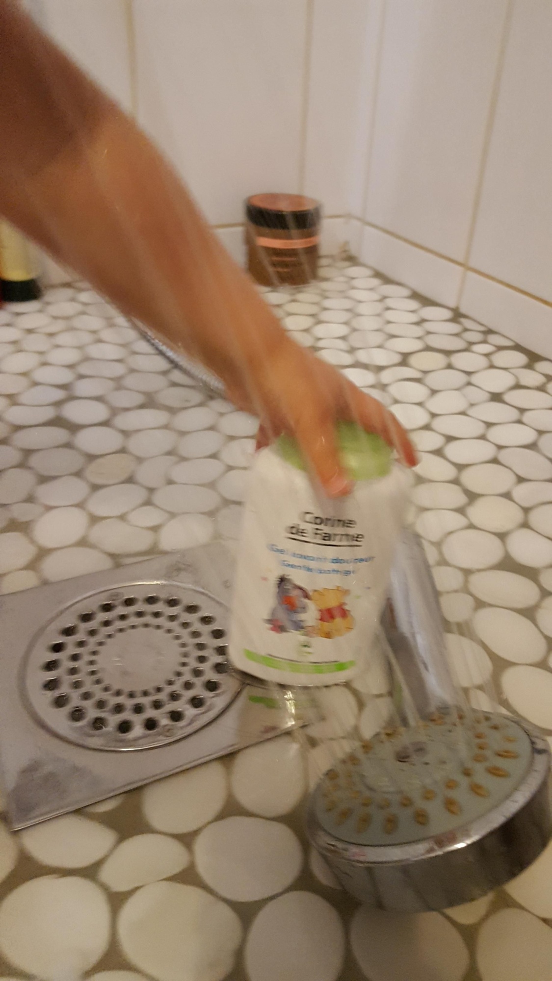 Pré-visualisation