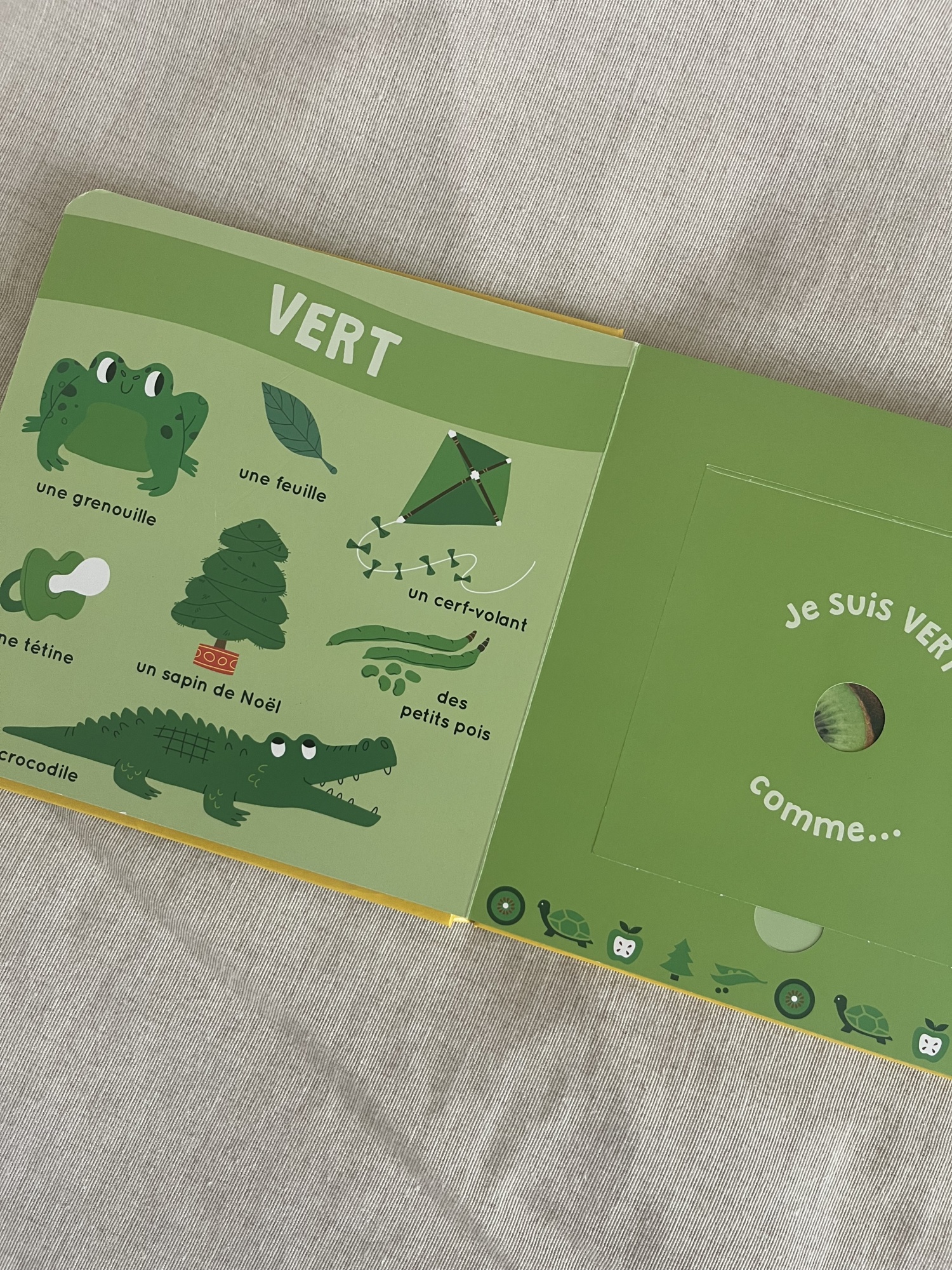 Pré-visualisation
