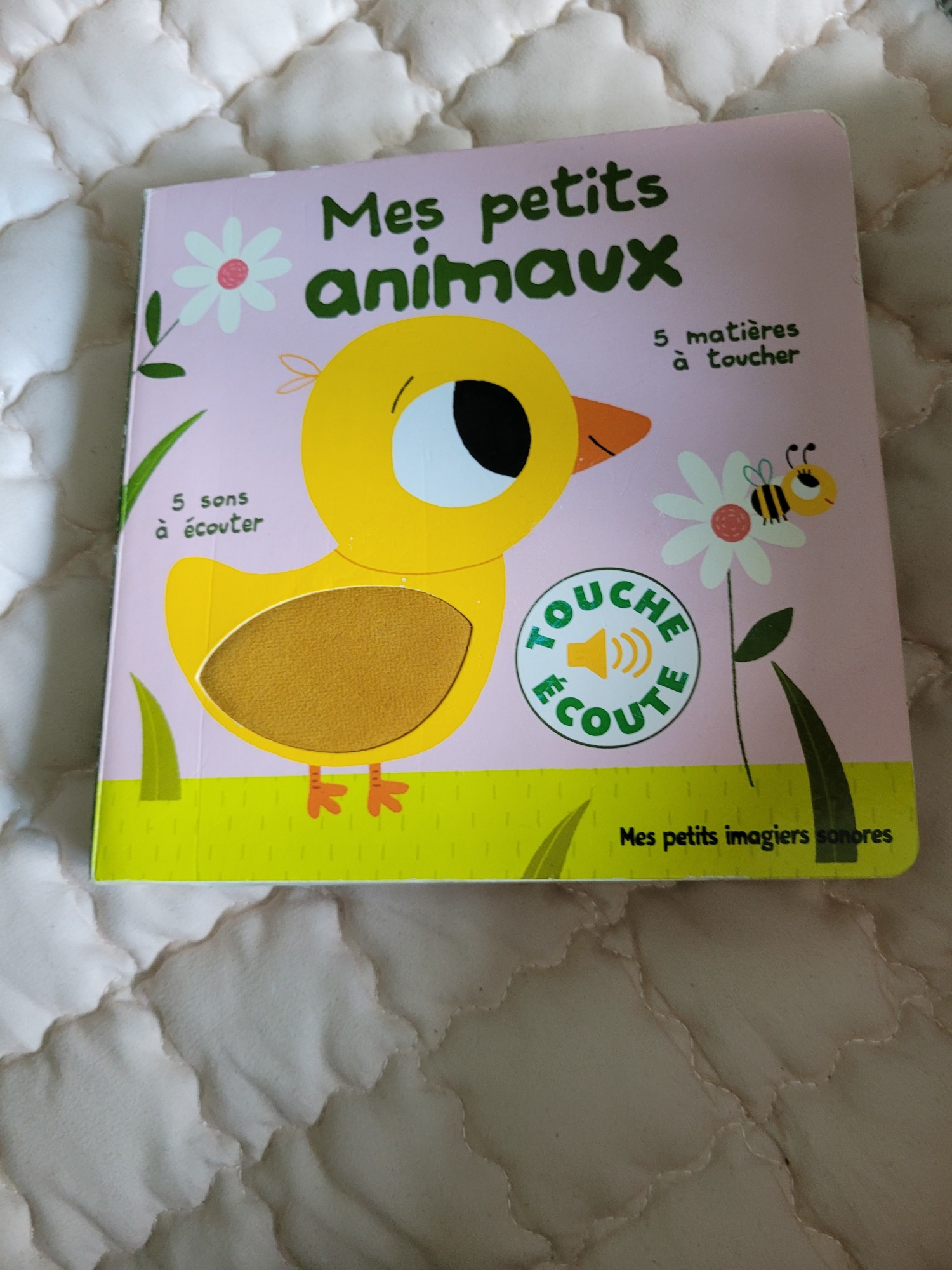 Pré-visualisation