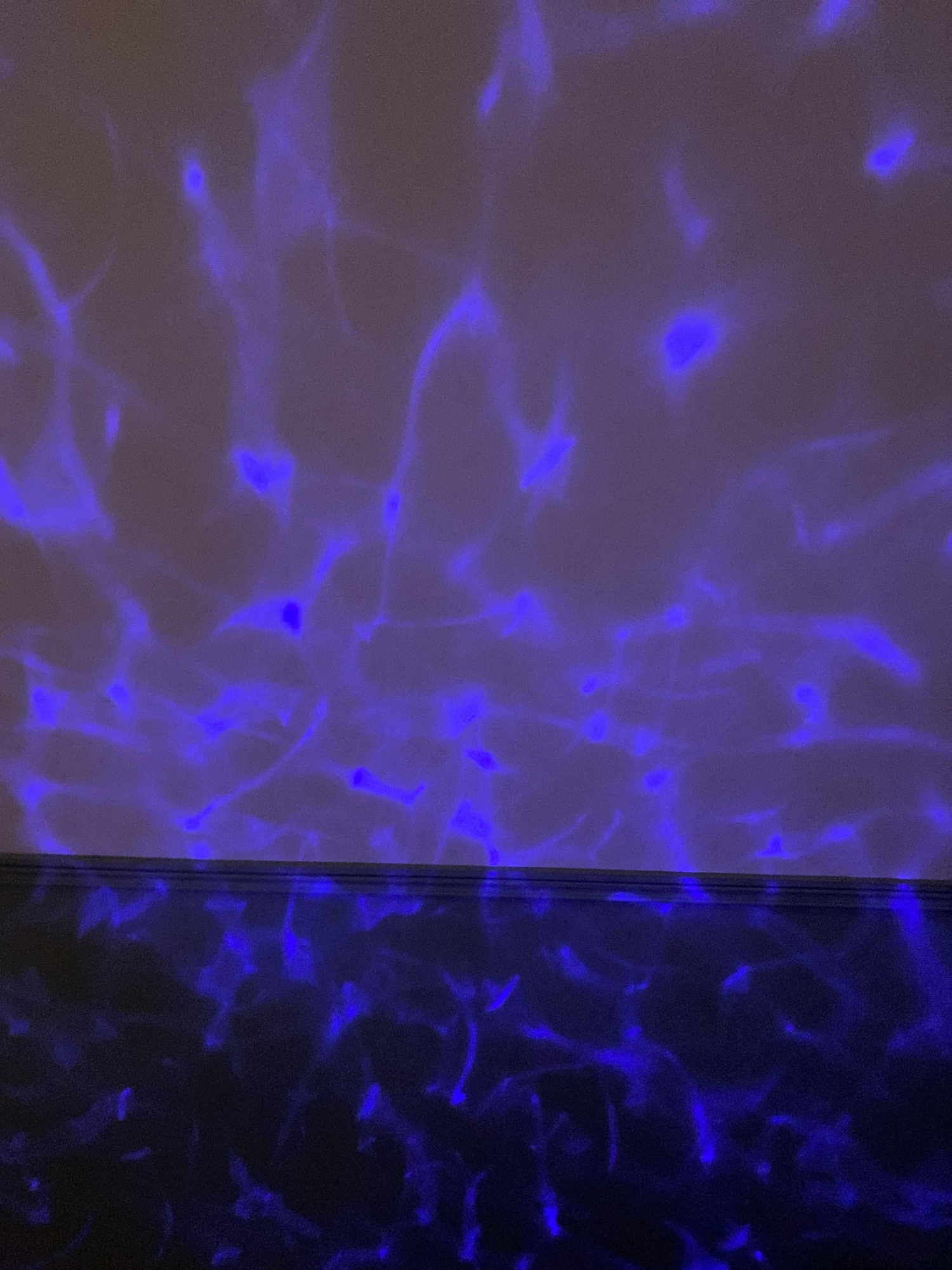 Pré-visualisation