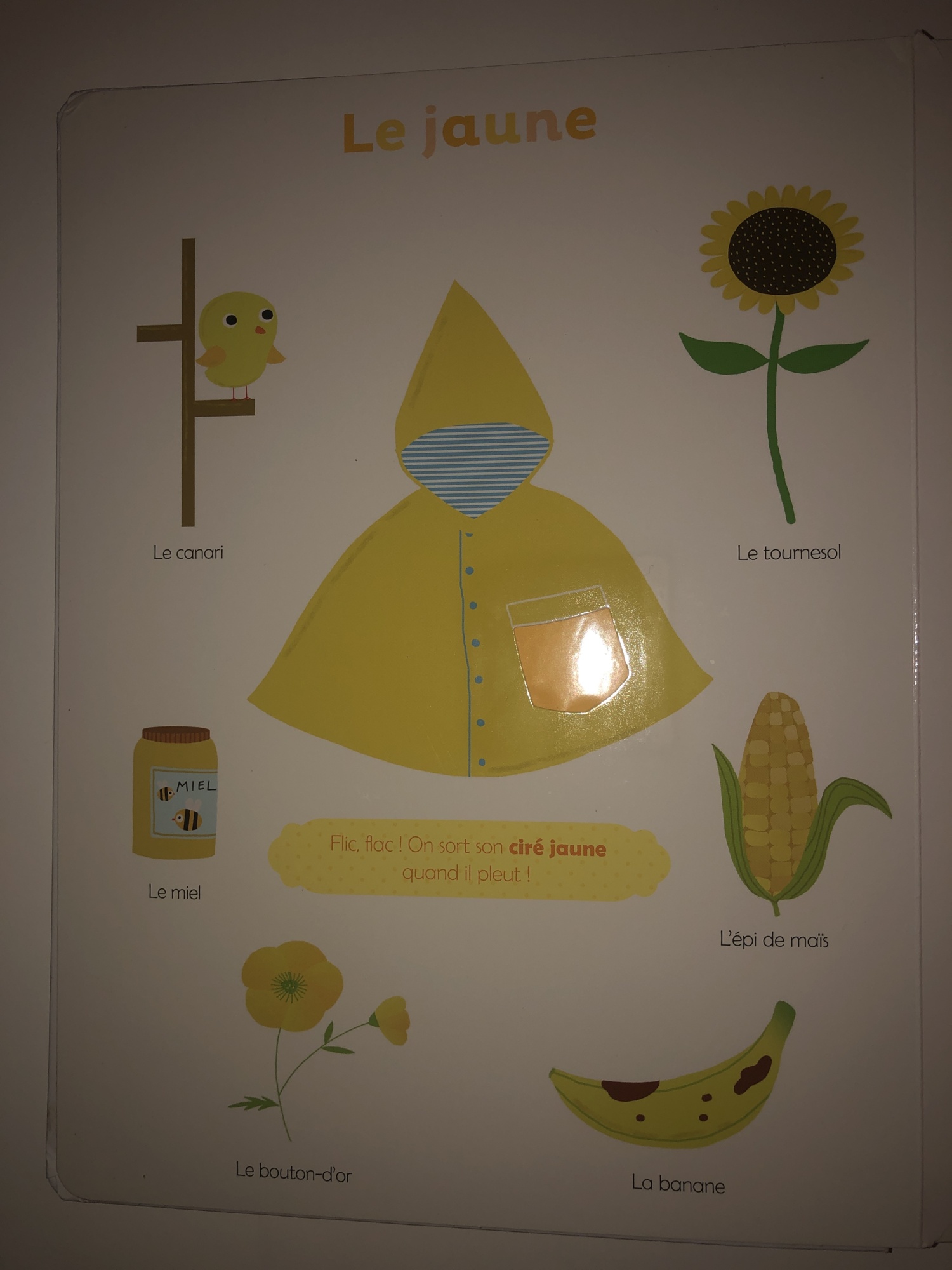 Pré-visualisation