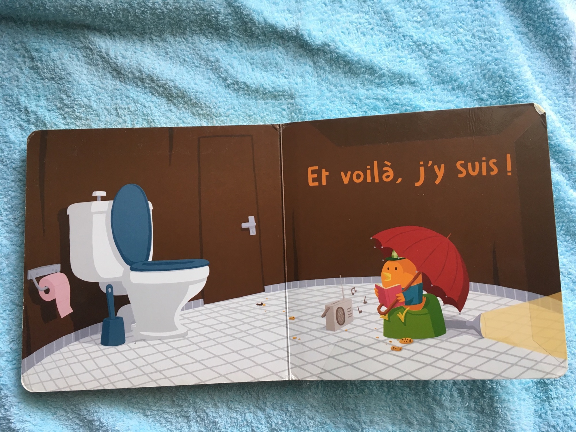 Pré-visualisation