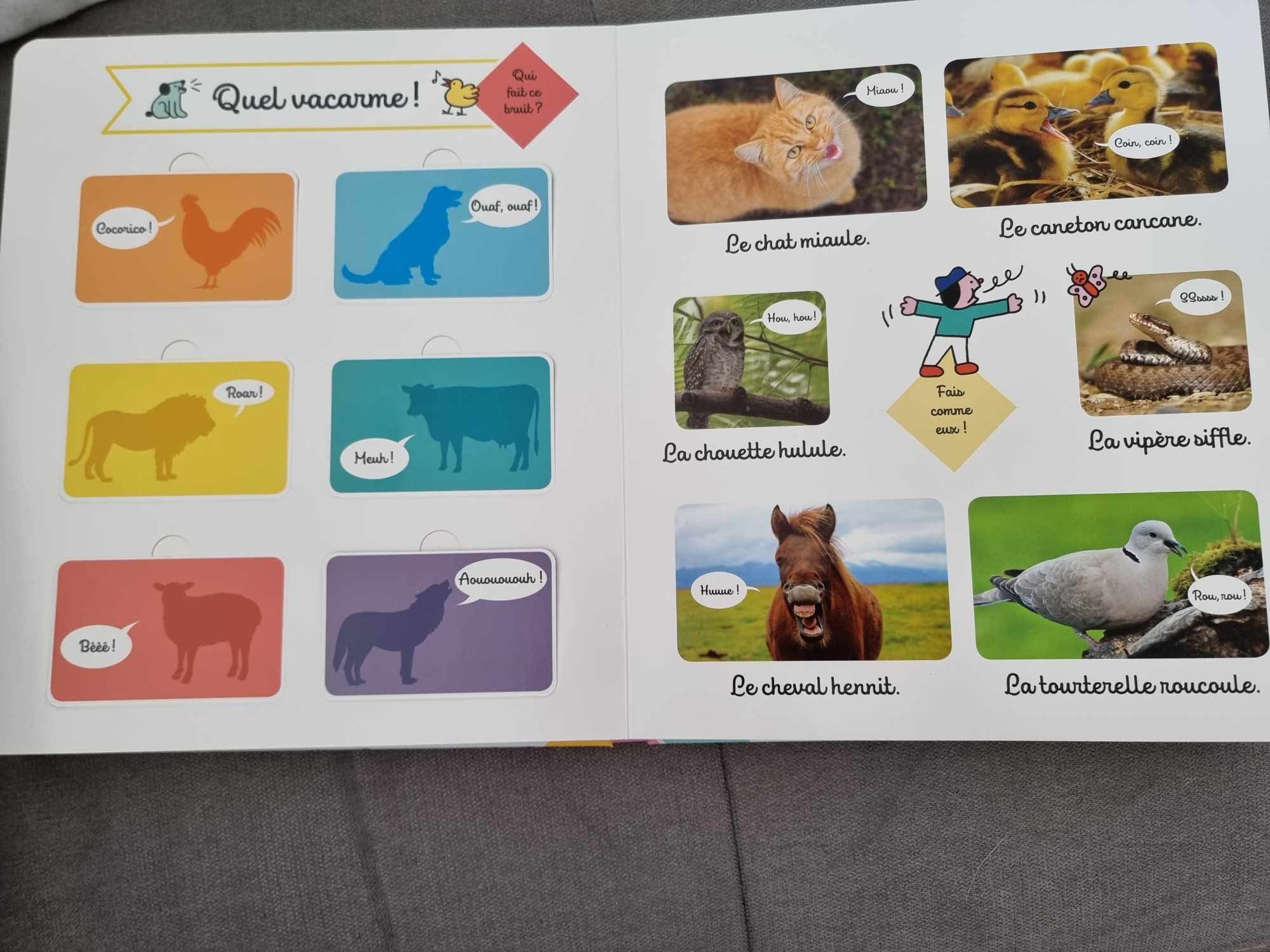 Pré-visualisation