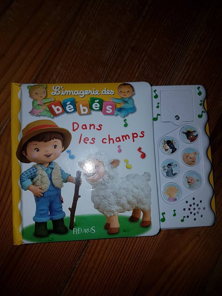 Pré-visualisation