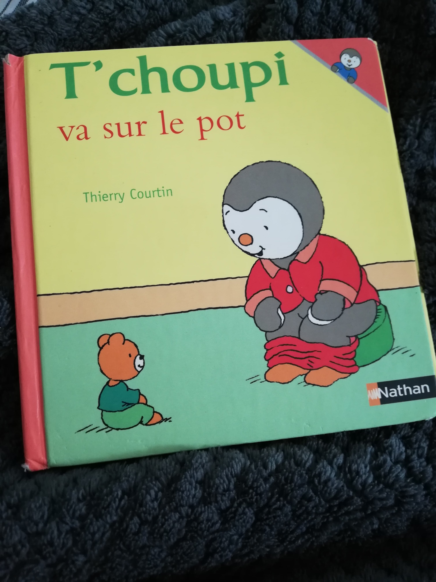 Pré-visualisation