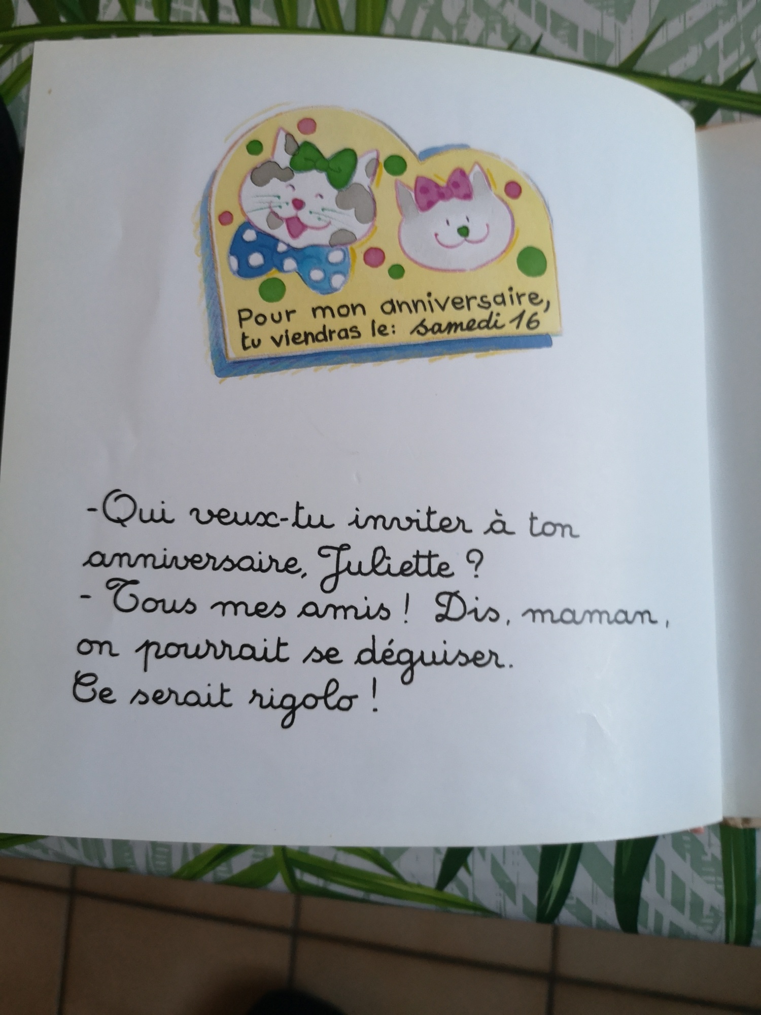 Pré-visualisation