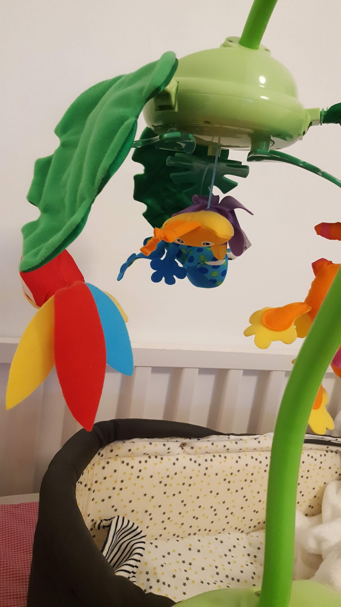 Pré-visualisation