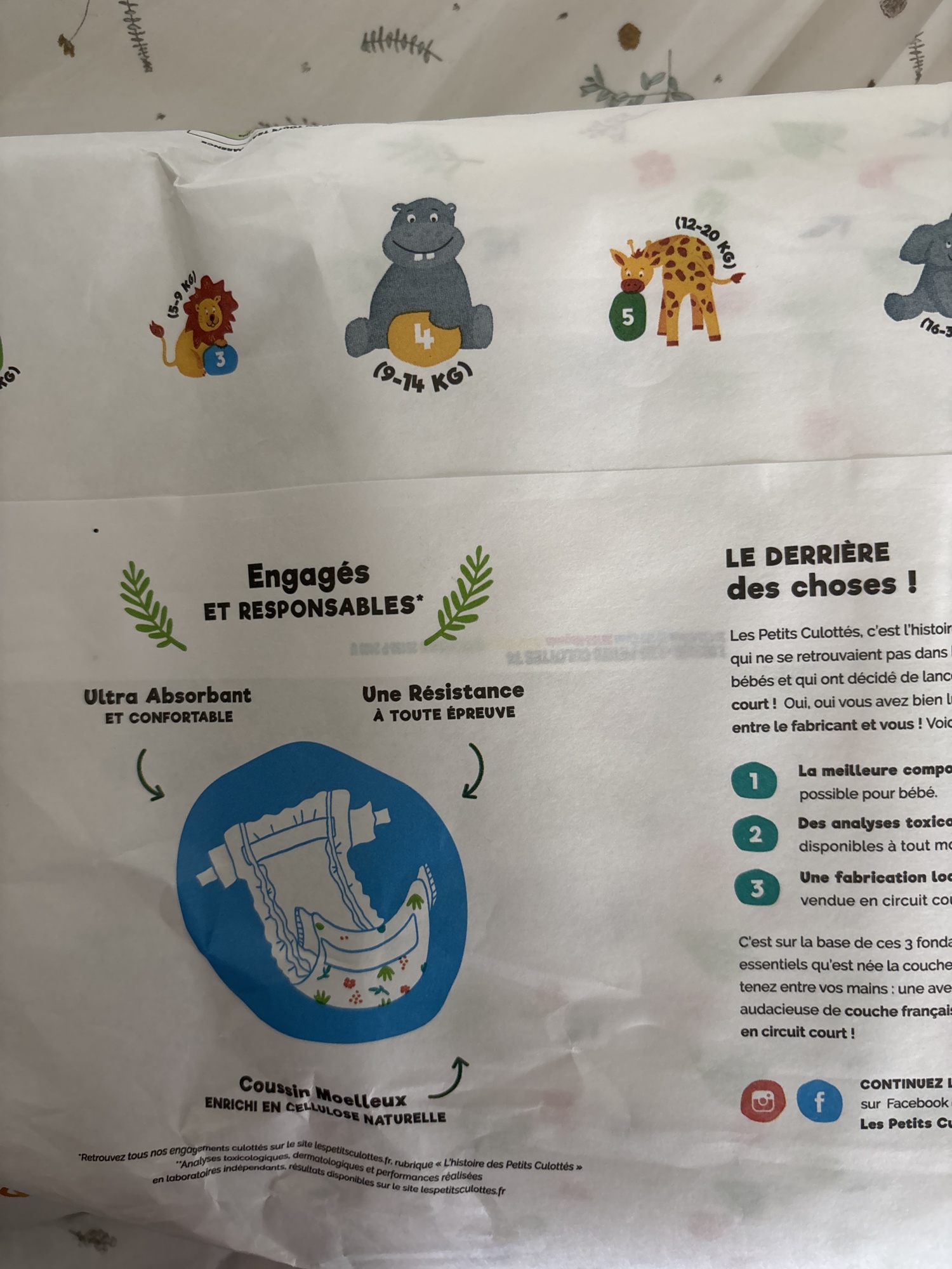 Pré-visualisation