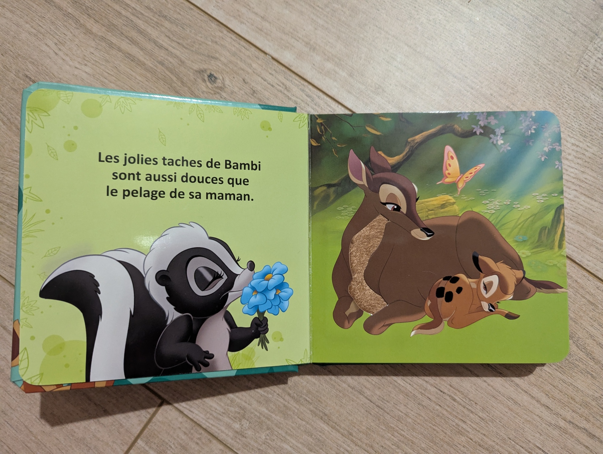 Pré-visualisation