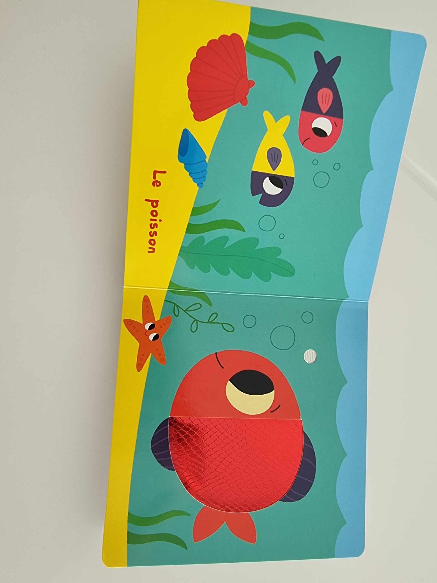 Pré-visualisation