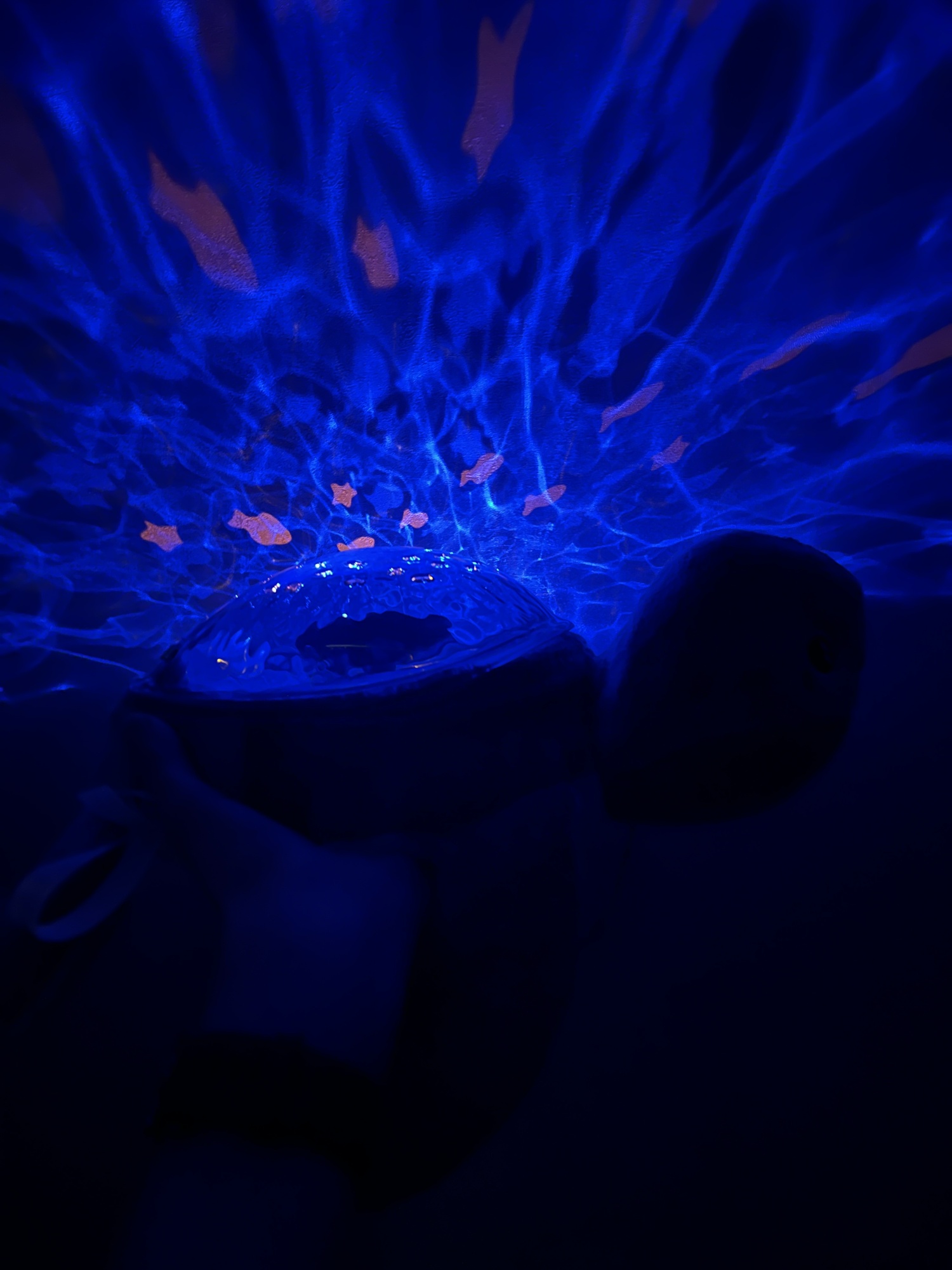 Pré-visualisation