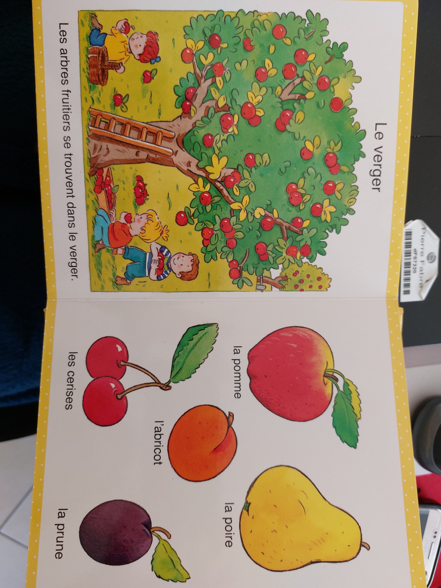 Pré-visualisation