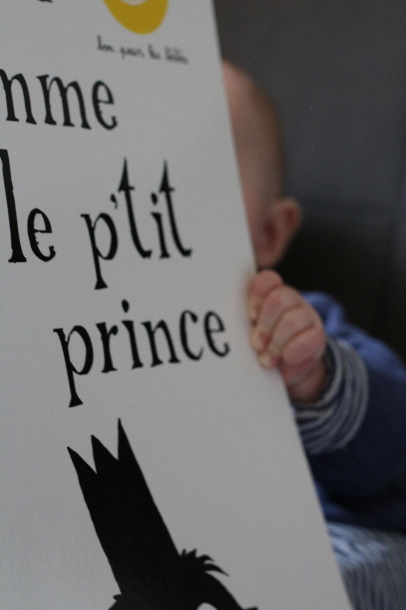 Pré-visualisation