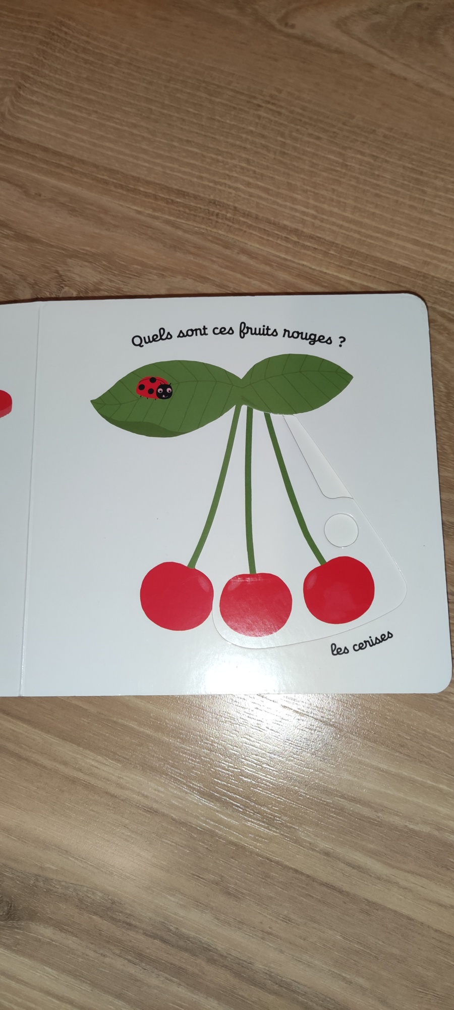 Pré-visualisation
