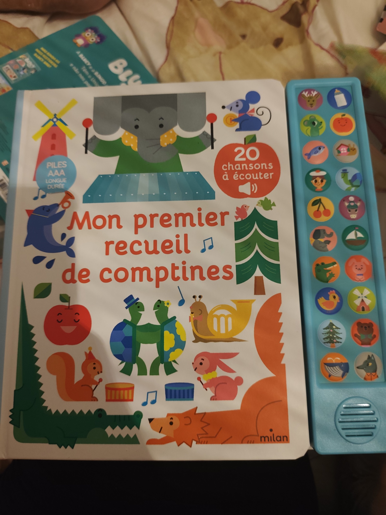 Pré-visualisation