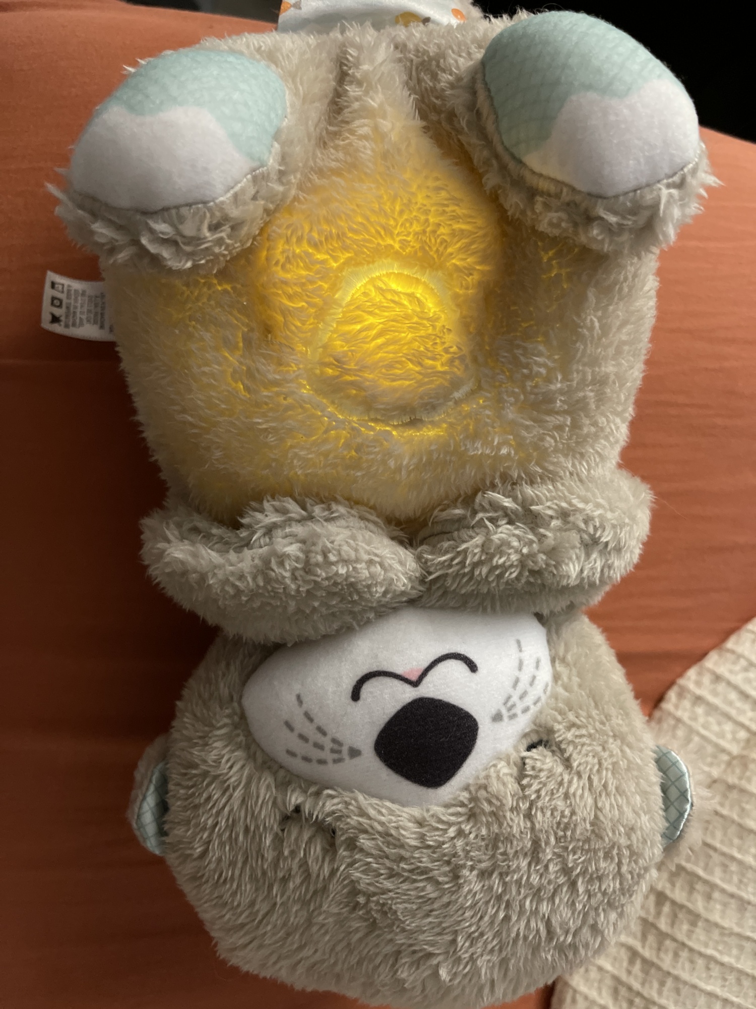 Veilleuse Ma Loutre Câlins Bonne Nuit FISHER PRICE Comparateur, Avis, Prix
