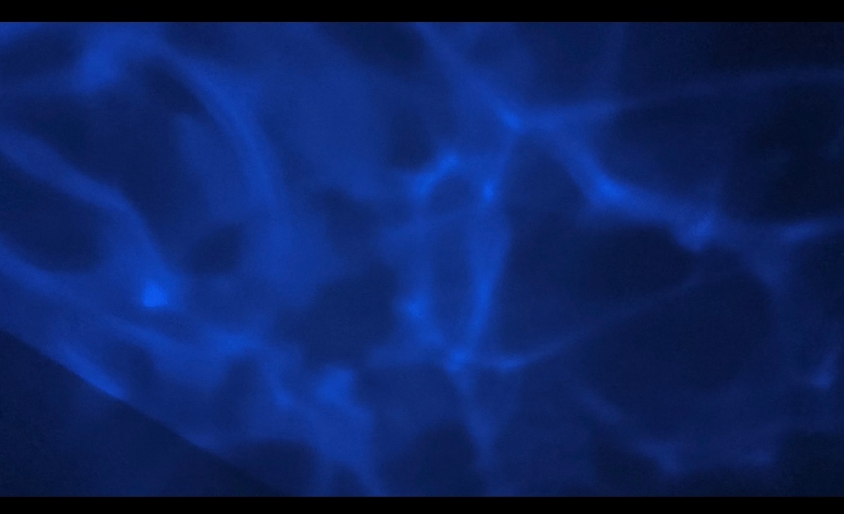 Pré-visualisation