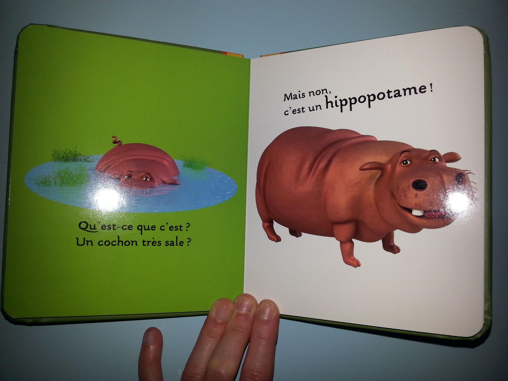 Pré-visualisation