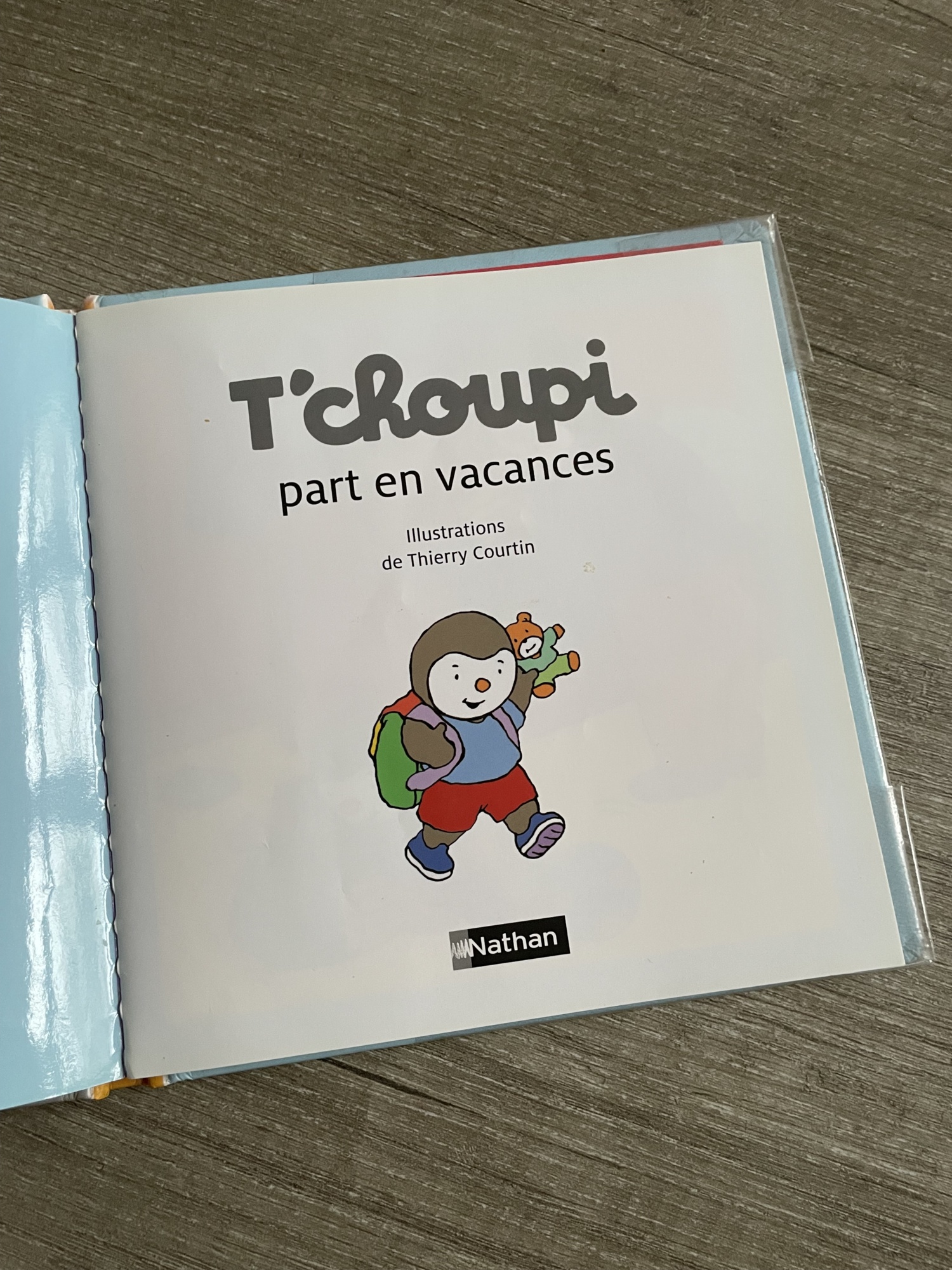 Pré-visualisation
