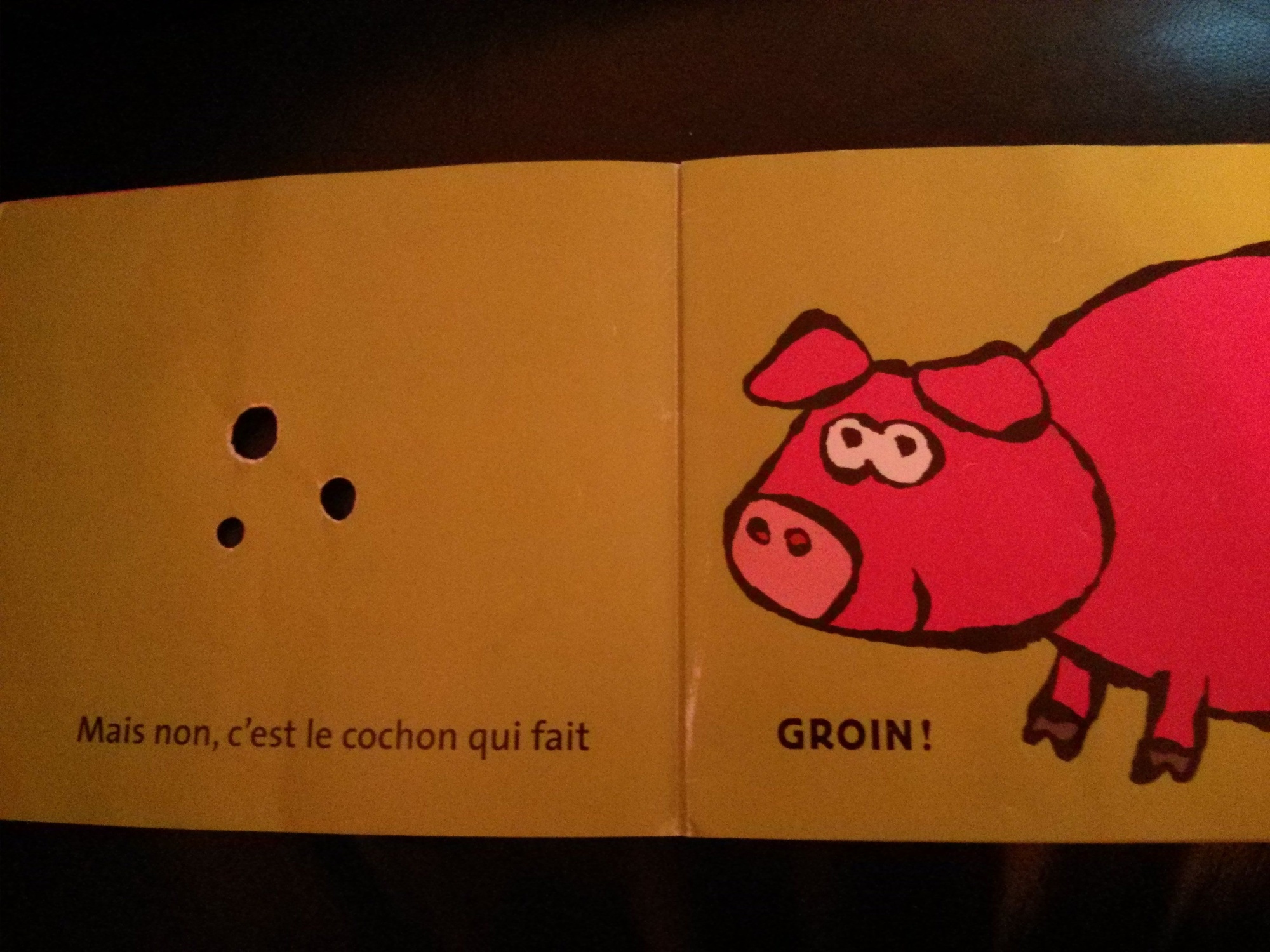 Pré-visualisation