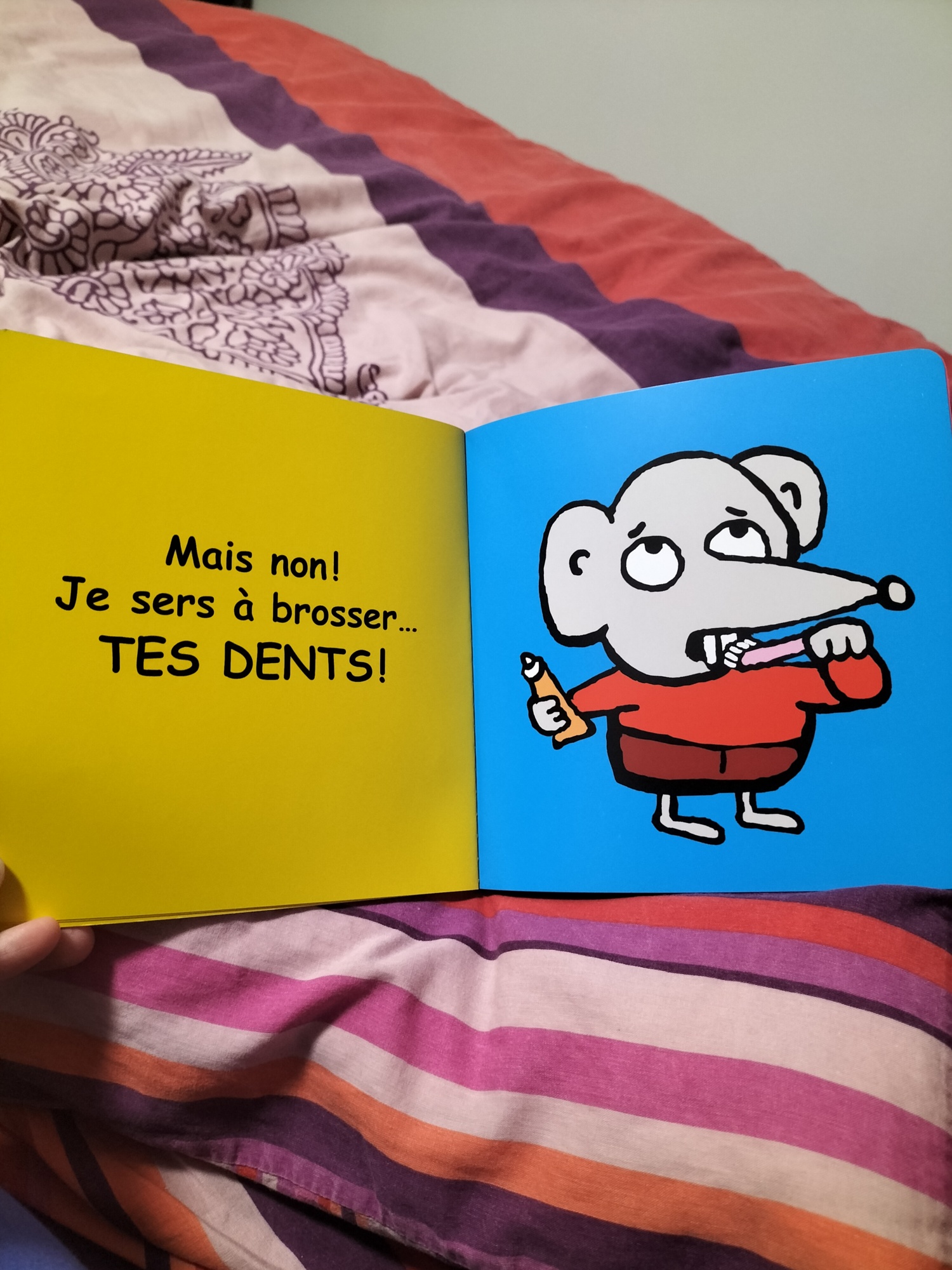 Pré-visualisation