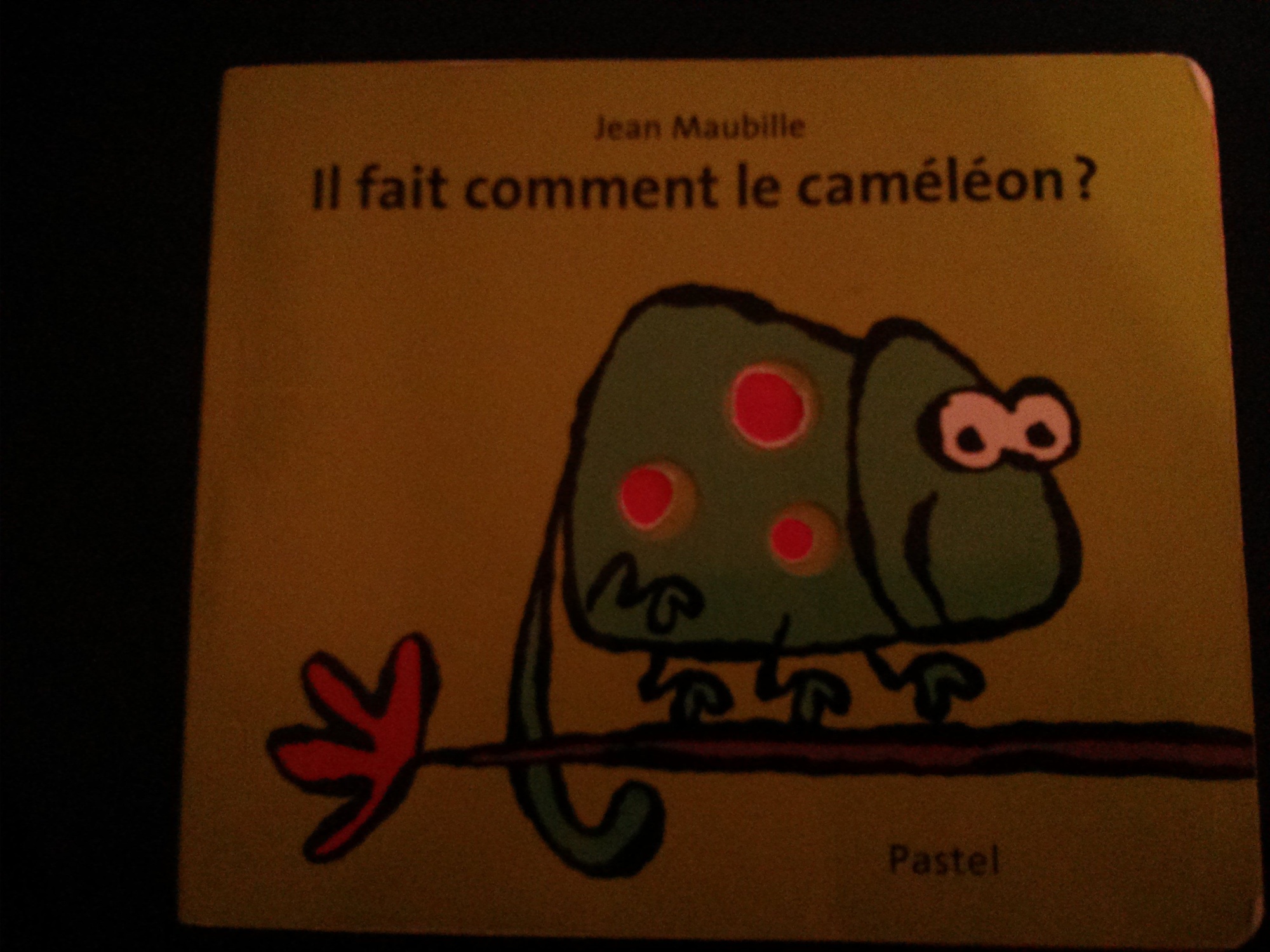 Pré-visualisation