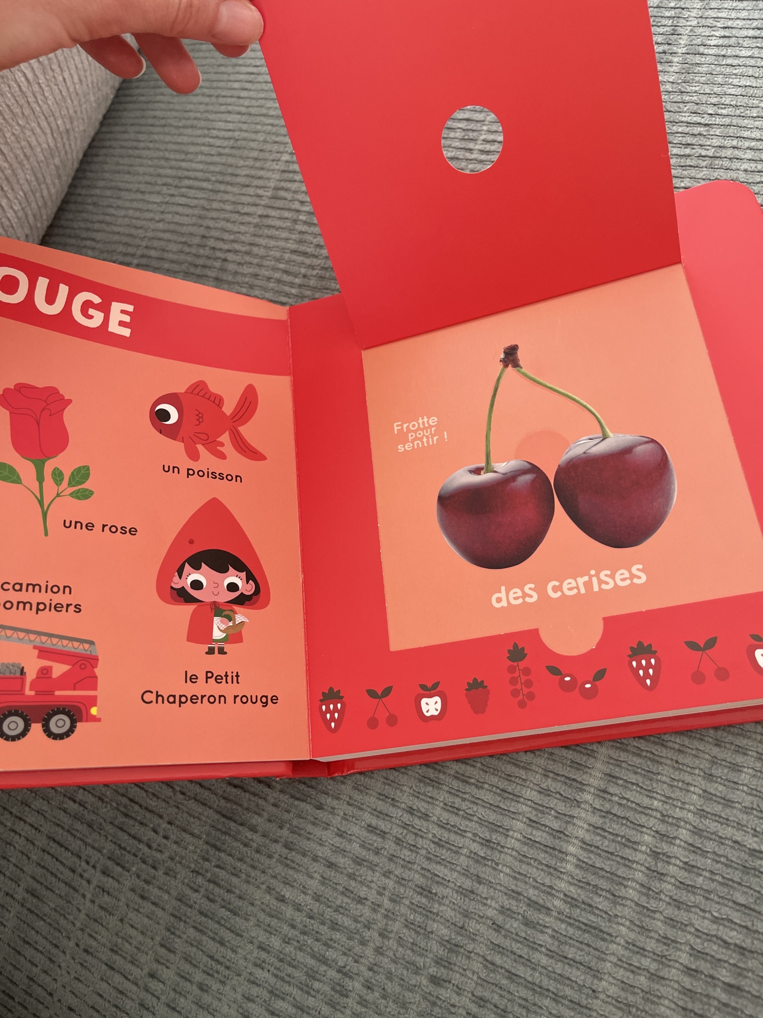 Pré-visualisation