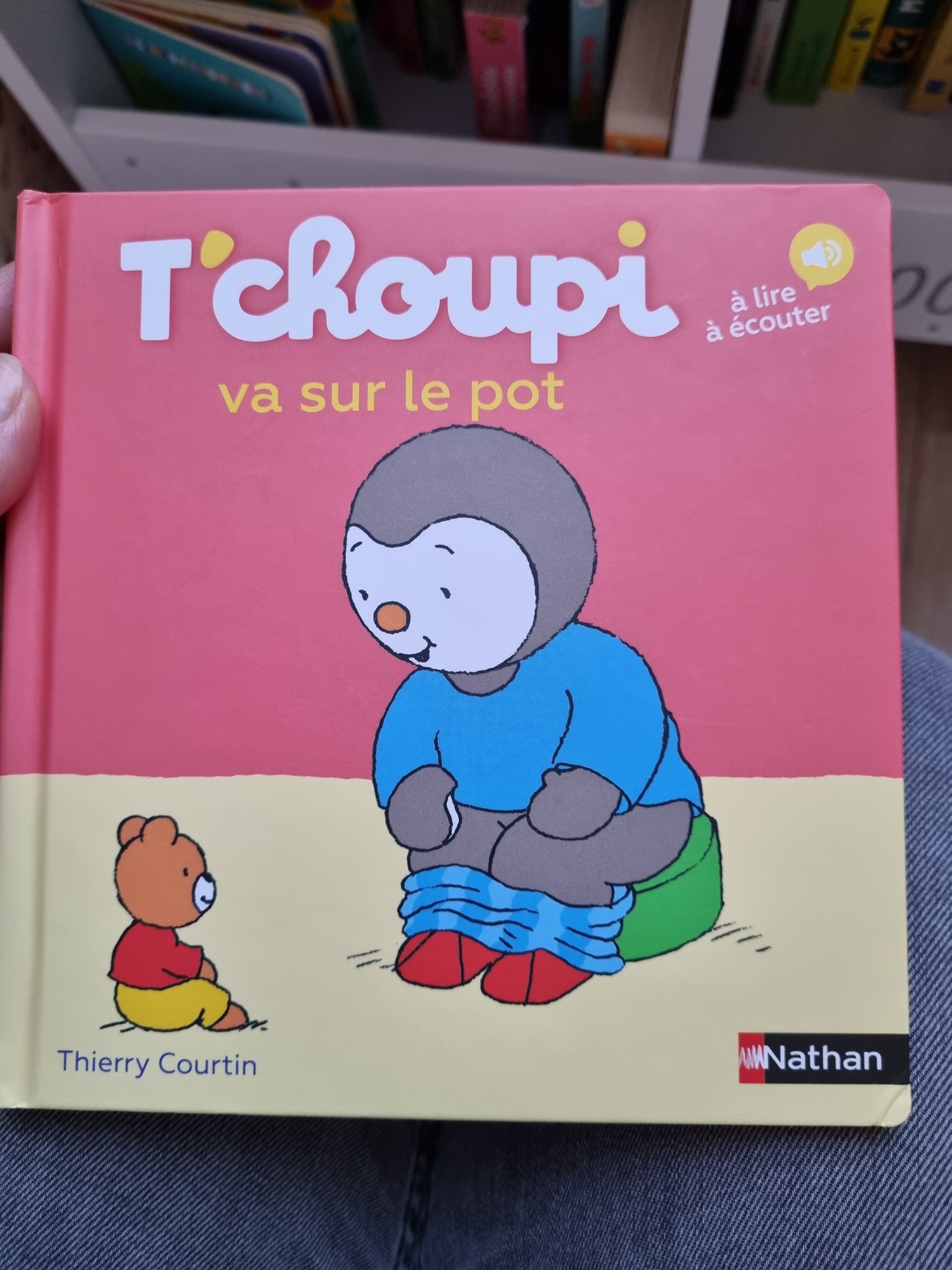 Pré-visualisation