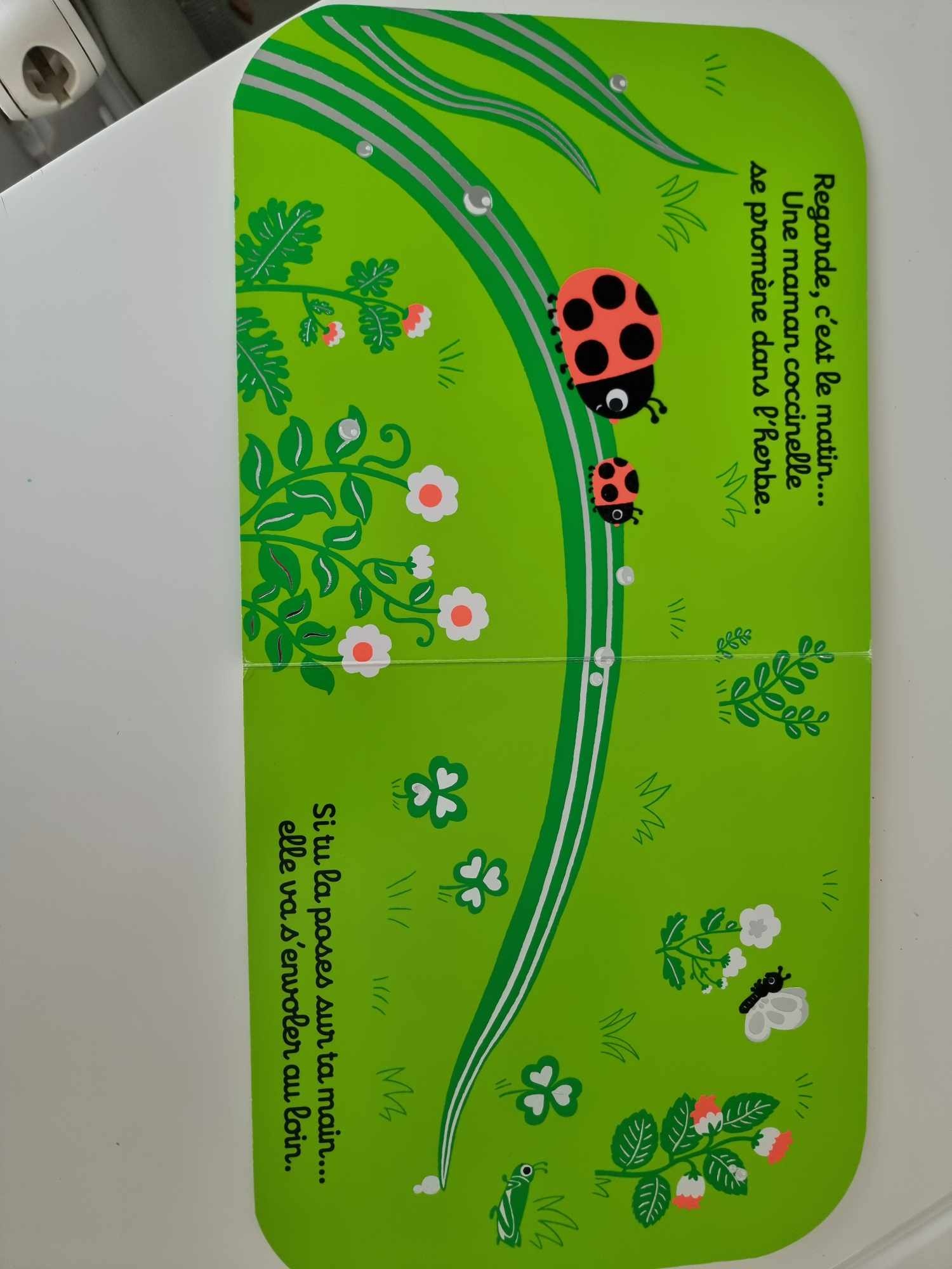 Pré-visualisation