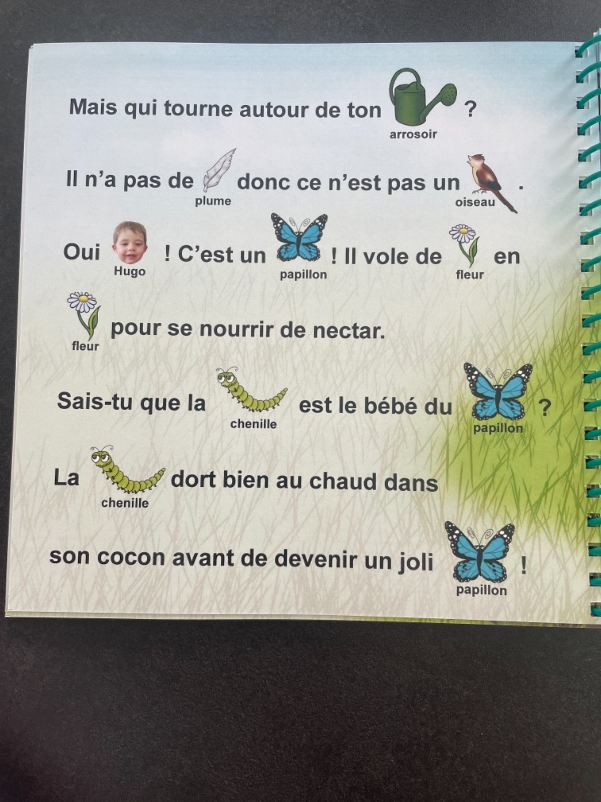 Pré-visualisation