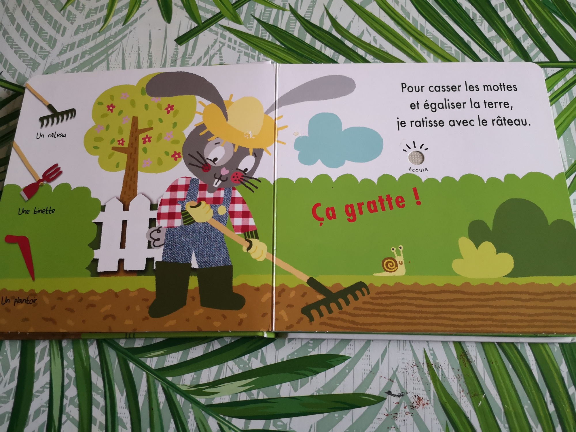 Pré-visualisation