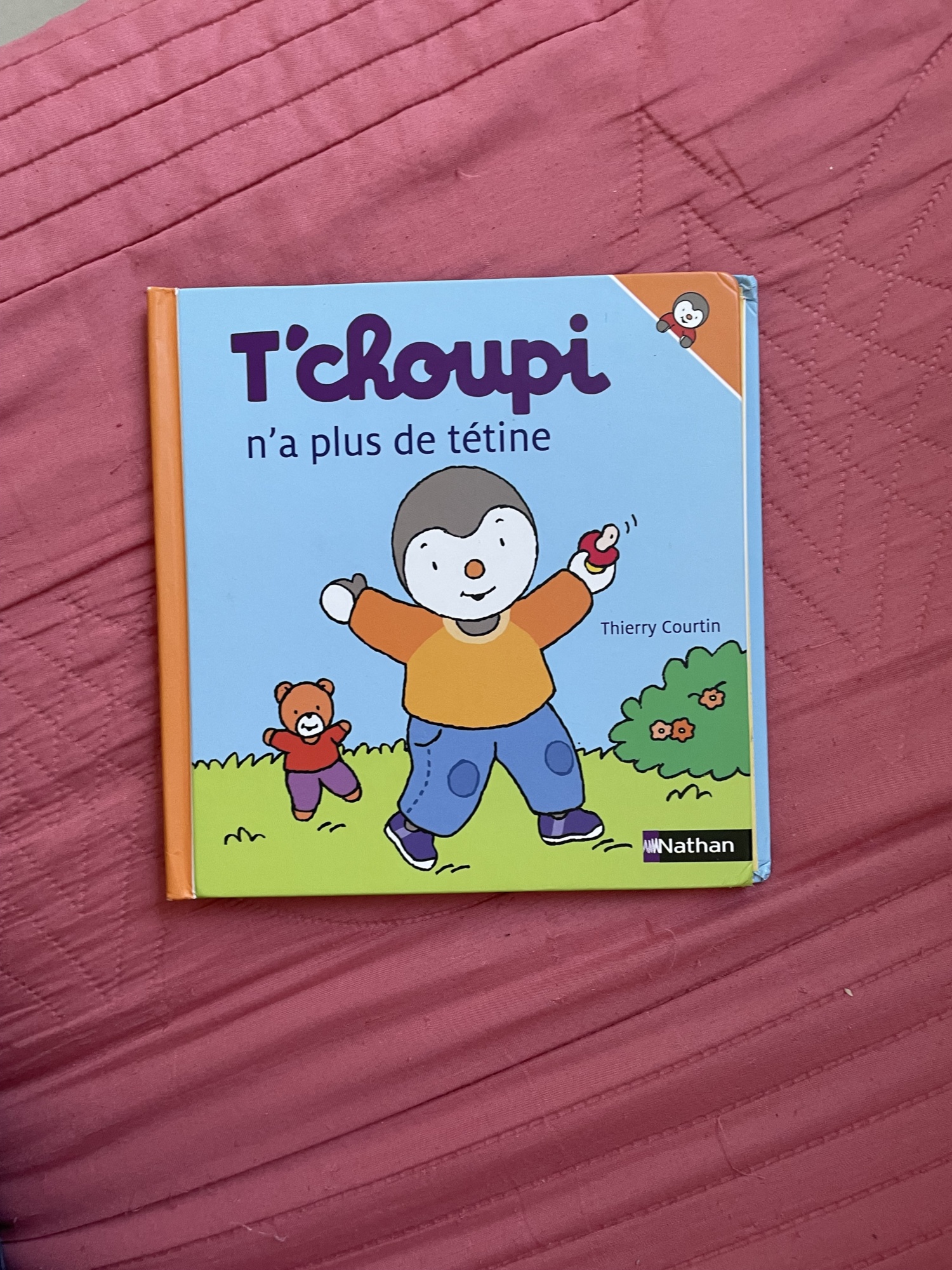 Pré-visualisation