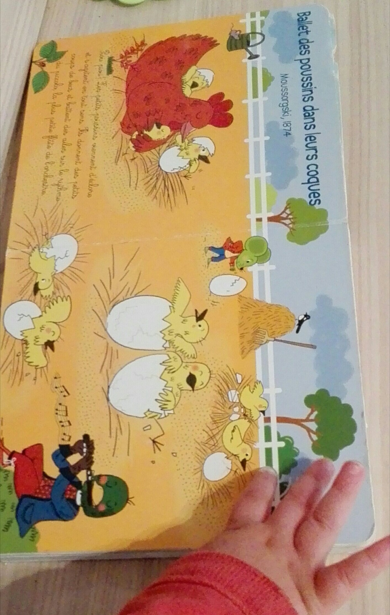 Pré-visualisation